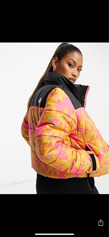 North Face North face renkli mont