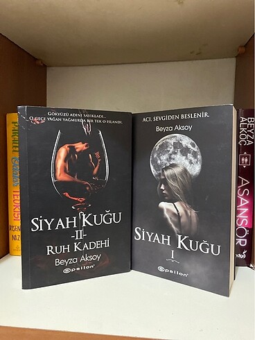 Siyah kuğu