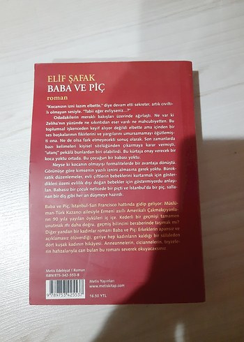 Elif Şafak - Baba ve Piç Roman - Görsel 3