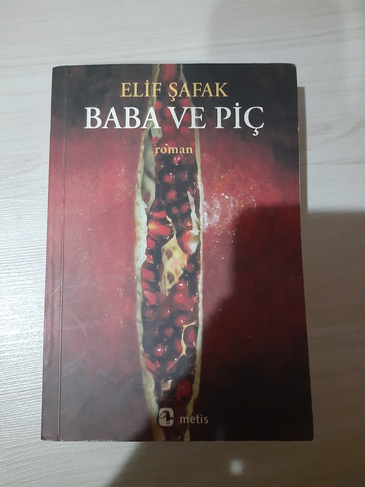 Elif Şafak - Baba ve Piç Roman - Görsel 2