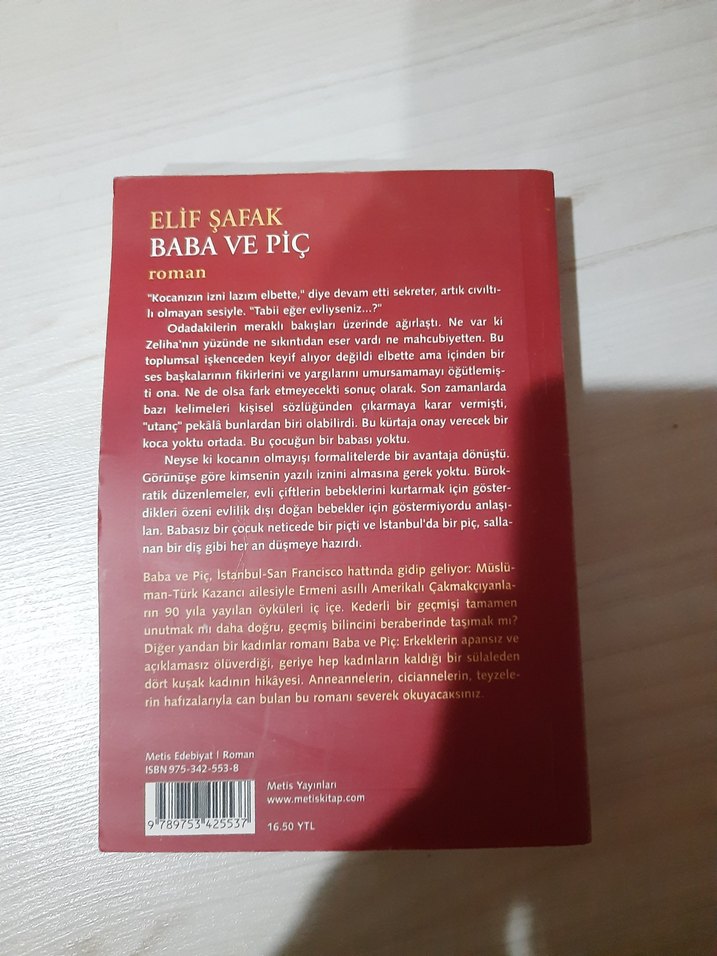 Elif Şafak - Baba ve Piç Roman - Görsel 3