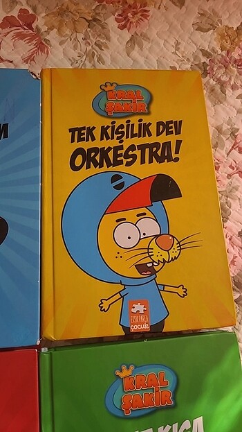  Beden Renk Kral şakir 
