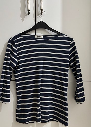 Çizgili bady - Görsel 2