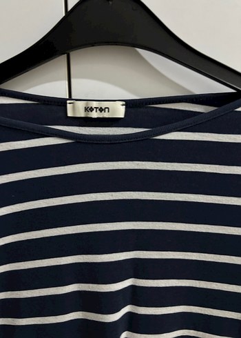 Çizgili bady - Görsel 3