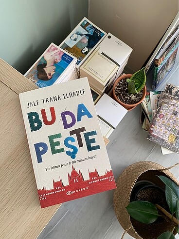 Bu Da Peşte