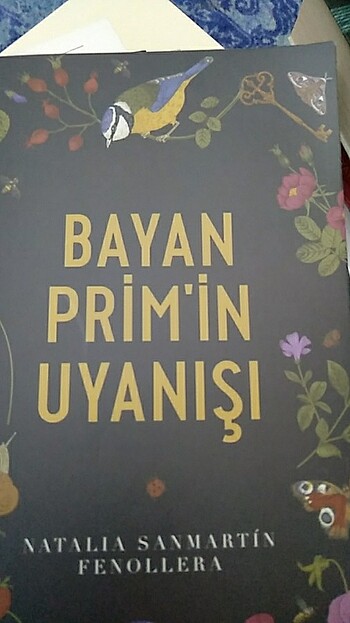 Bayan Primin uyanısi