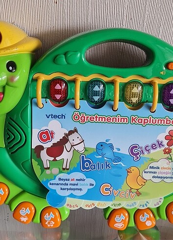 Vtech marka öğretmenim kaplumbağa