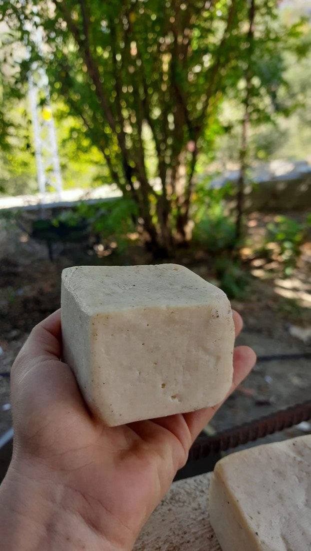 Organik Hatay Defne Sabunu - Görsel 2