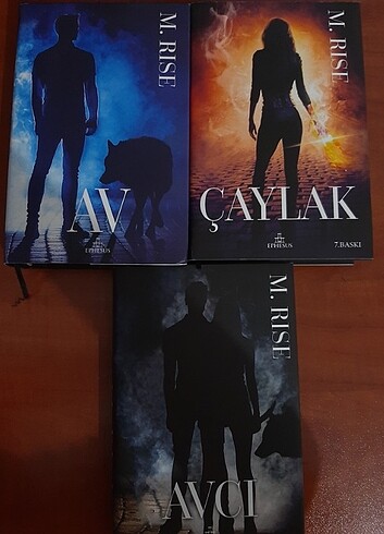 Av Avcı Çaylak
