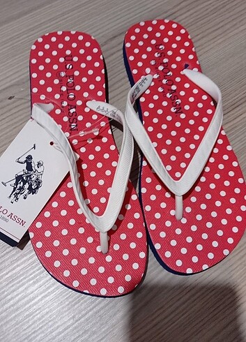 Polo Terlik