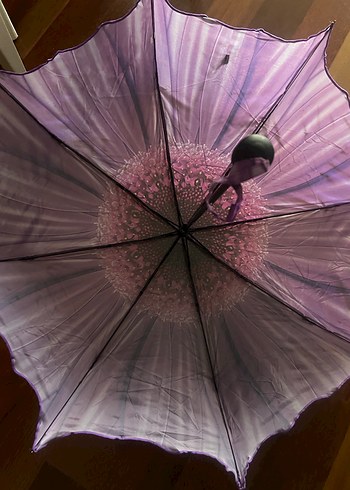 Mor Pilili Kadın Şemsiye - Görsel 3