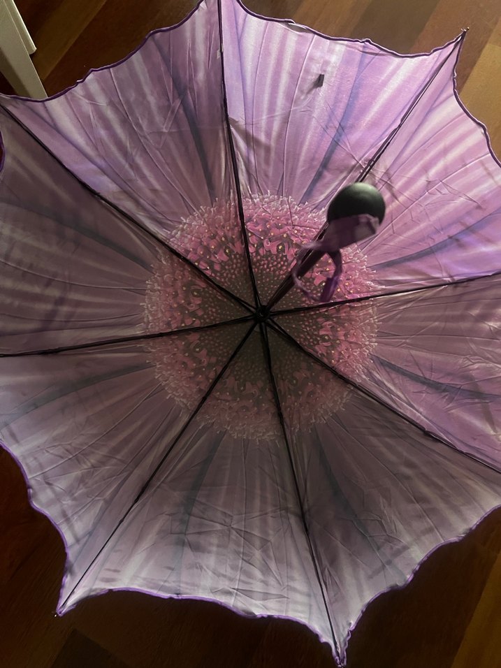 Mor Pilili Kadın Şemsiye - Görsel 3