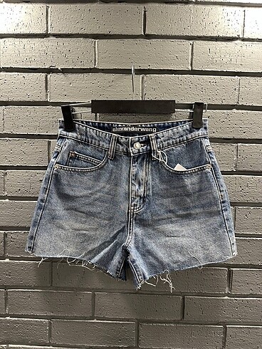 alexander wang