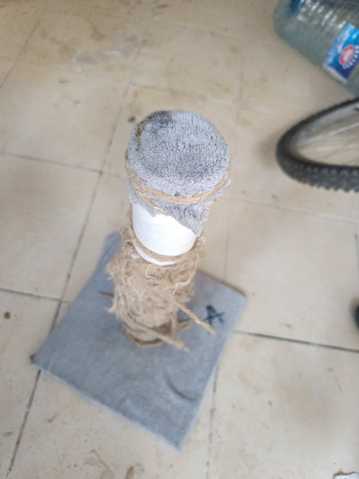 Gri Kedi Tırmalama Tahtası - Görsel 4