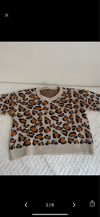 Leopar kazak