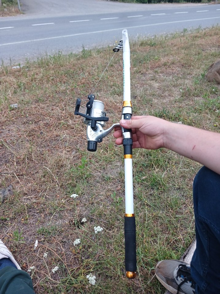 MAKARALİ OLTA - Görsel 3