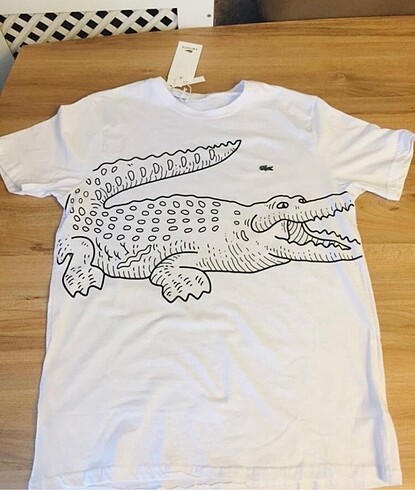 Lacoste erkek tişört