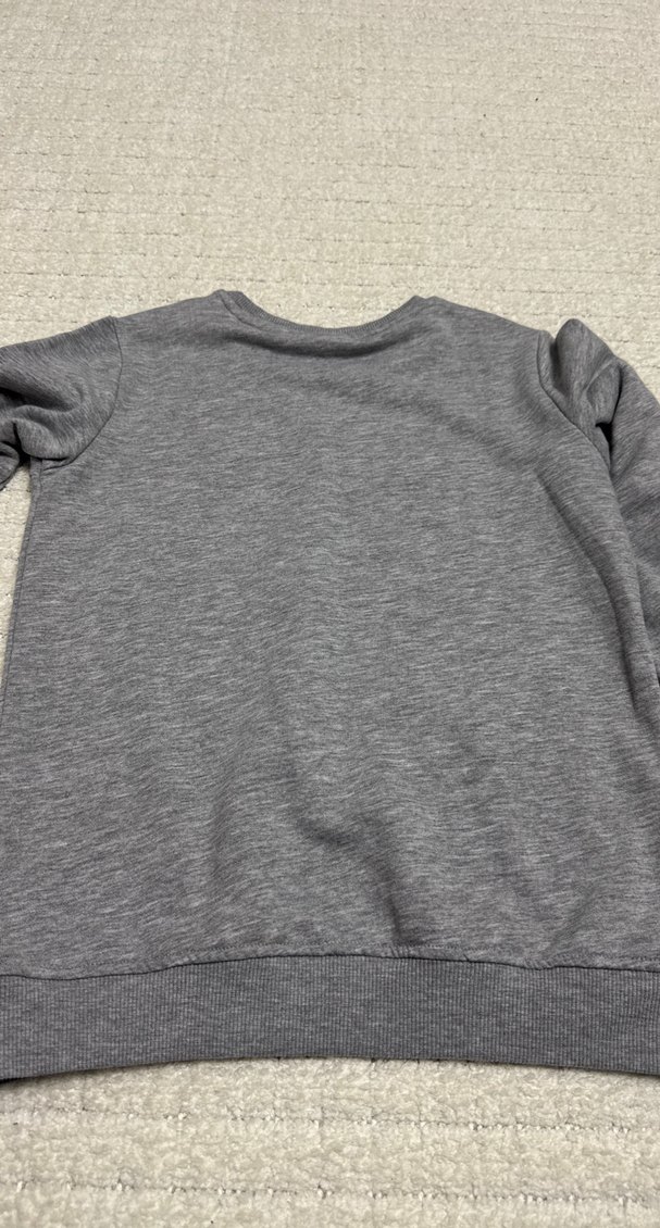 USPA Gri Erkek Sweatshirt - Görsel 2