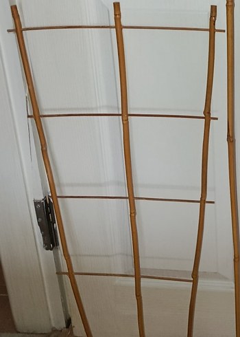 75 cm.yelpaze bambu bitki destek çubuğu - Görsel 2