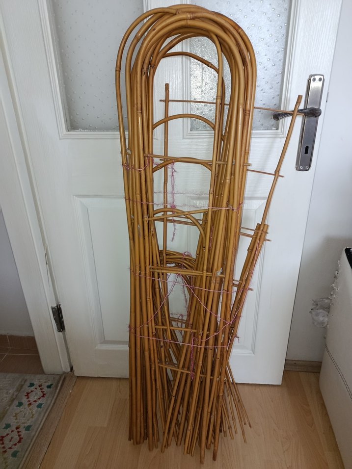 75 cm.yelpaze bambu bitki destek çubuğu - Görsel 4