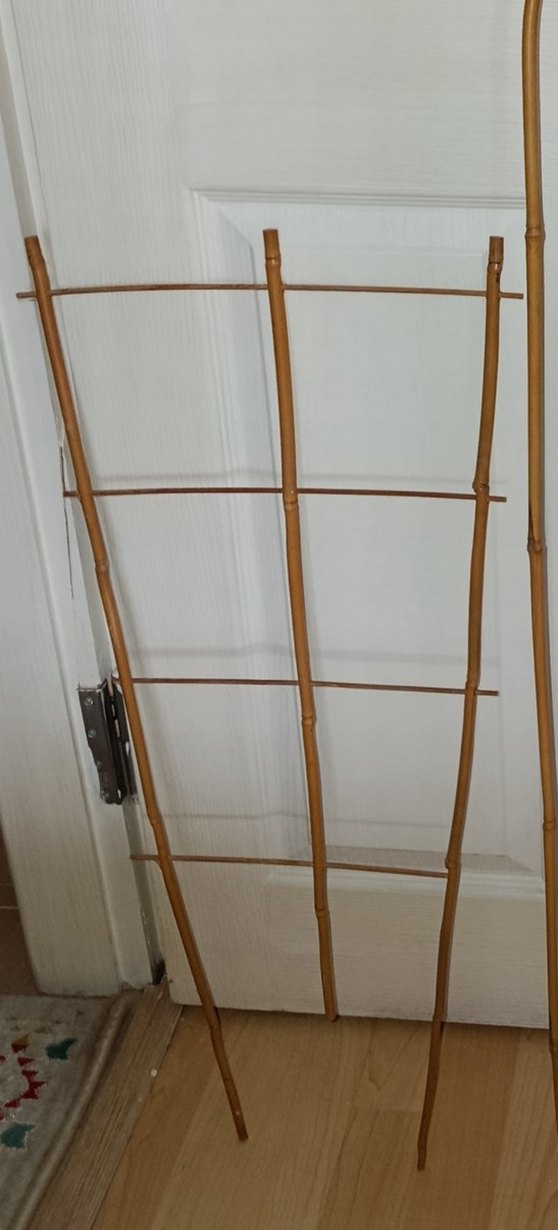 75 cm.yelpaze bambu bitki destek çubuğu - Görsel 2