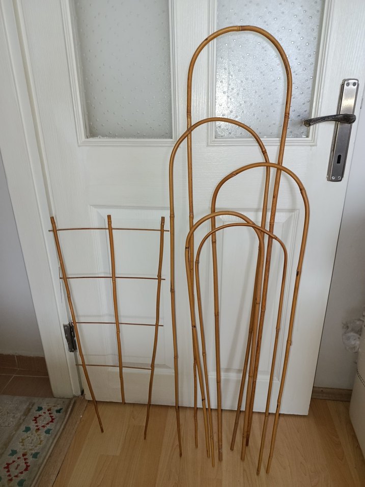 75 cm.yelpaze bambu bitki destek çubuğu - Görsel 3