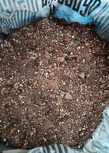 İç mekan bitki toprak karışımı - Görsel 6