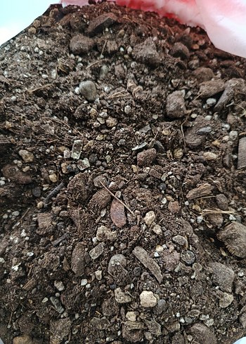 İç mekan bitki toprak karışımı - Görsel 3