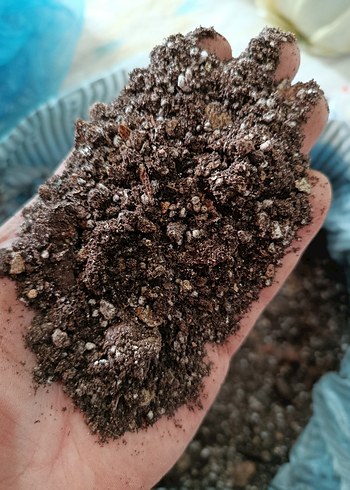 İç mekan bitki toprak karışımı - Görsel 4