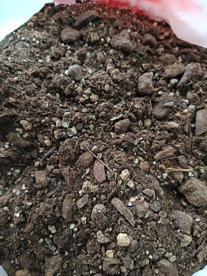 İç mekan bitki toprak karışımı - Görsel 3