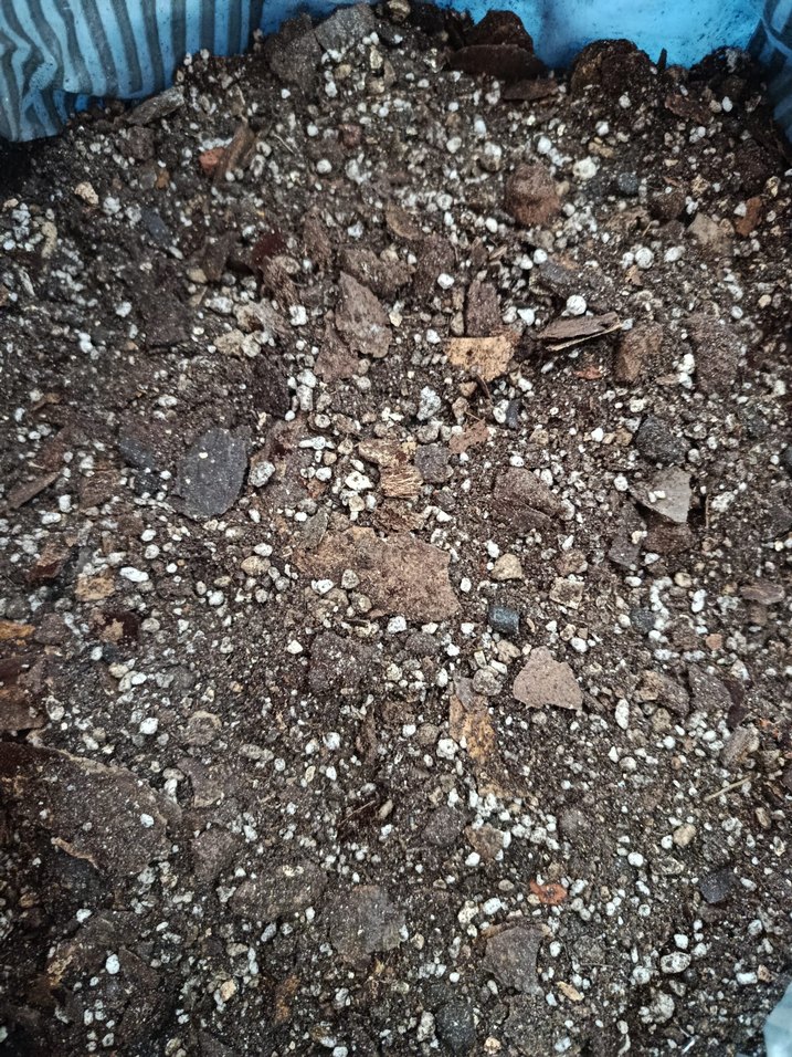 İç mekan bitki toprak karışımı - Görsel 5