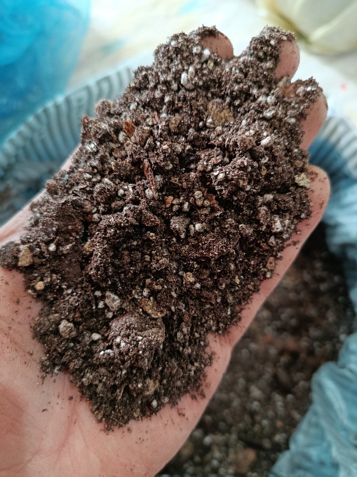 İç mekan bitki toprak karışımı - Görsel 4