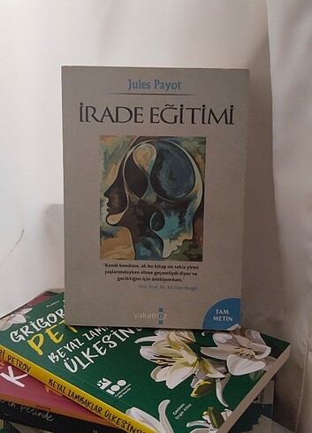 irade egitimi 