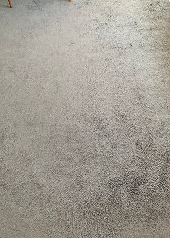 Beden Gri peluş salon halısı