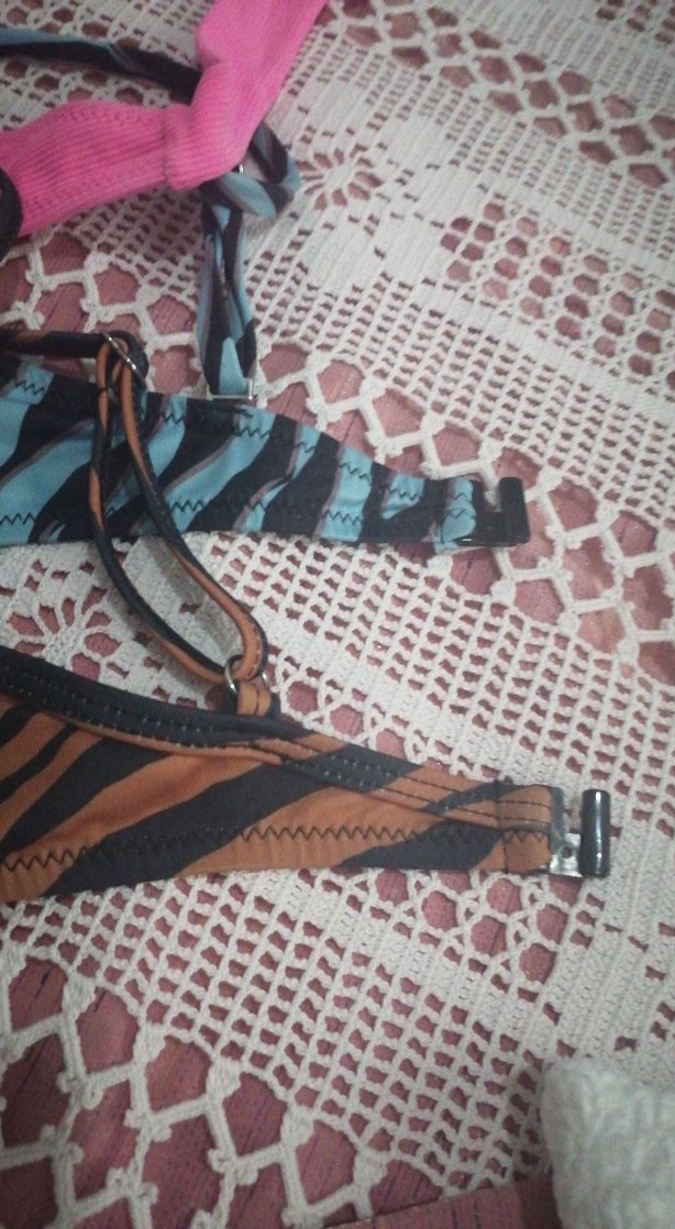 Renkli Zebra Desenli Mini Bikini Üstü - Görsel 3