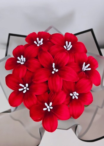 Kırmızı Renkli Canlı Görünümlü Vazo - Görsel 2