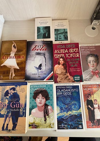 Stefan Zweig Roman Seti 10 Kitap