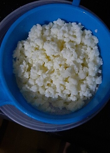 Doğal kefir mayası