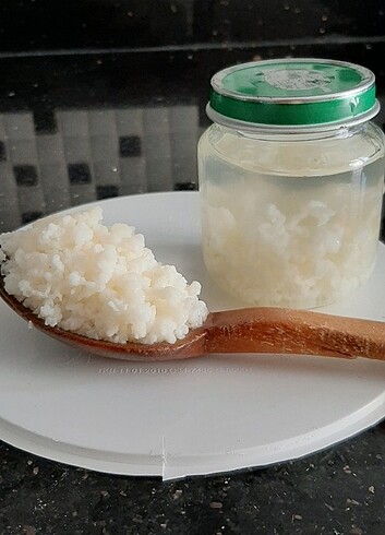 Doğal kefir mayası 