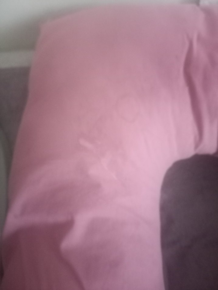 Pembe Hamile ve Emzirme Yastığı - Görsel 3