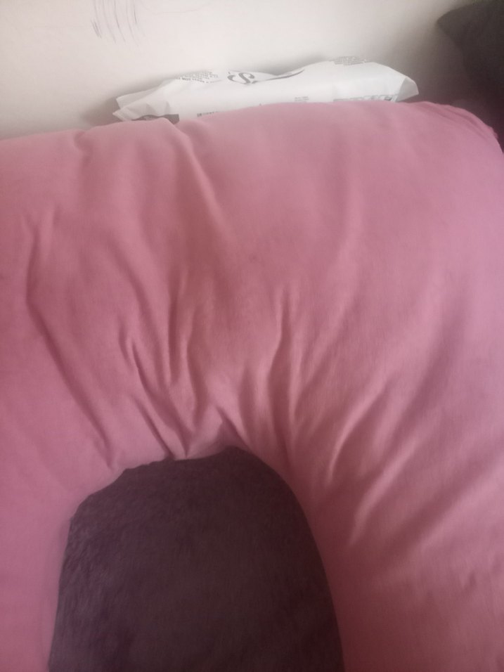 Pembe Hamile ve Emzirme Yastığı - Görsel 2