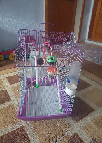Mor Renkli Kuş Kafesi ve Oyuncakları - Görsel 2