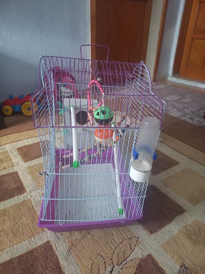 Mor Renkli Kuş Kafesi ve Oyuncakları - Görsel 2