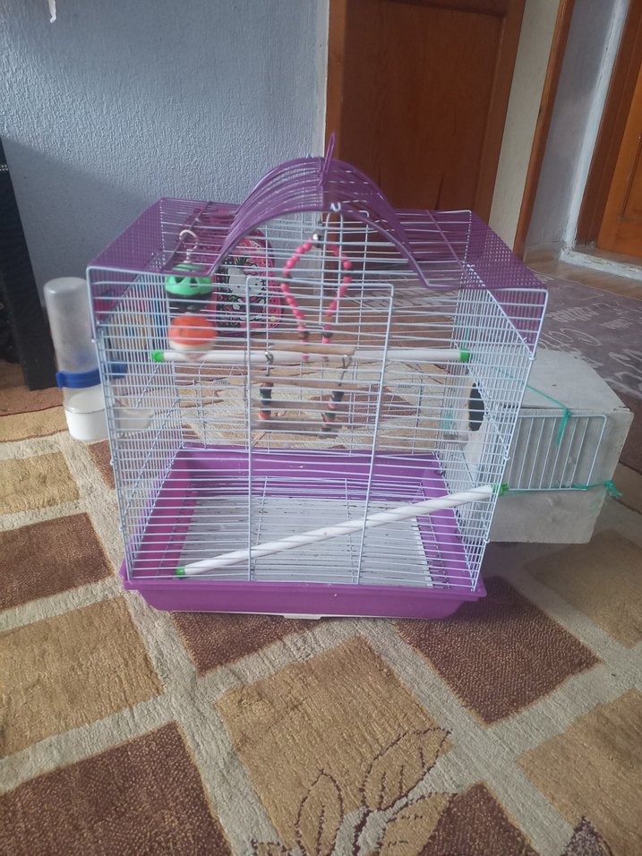 Mor Renkli Kuş Kafesi ve Oyuncakları - Görsel 3