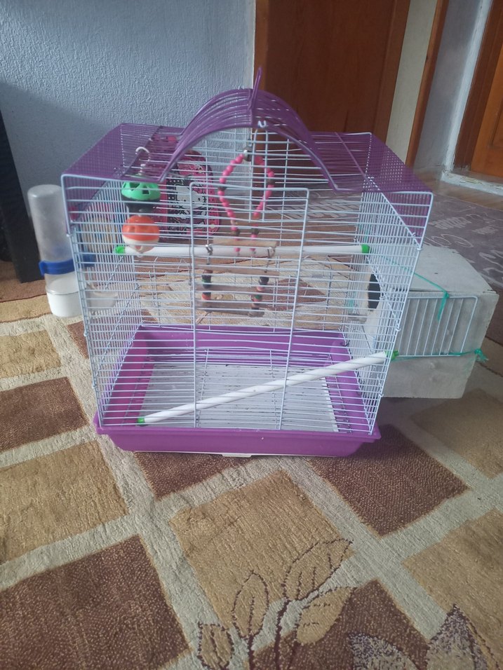 Mor Renkli Kuş Kafesi ve Oyuncakları - Görsel 4
