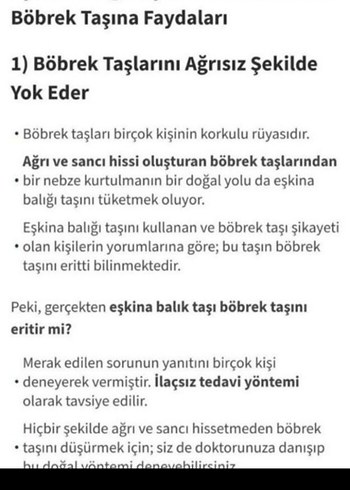 EKŞİNA TAŞI - Görsel 4