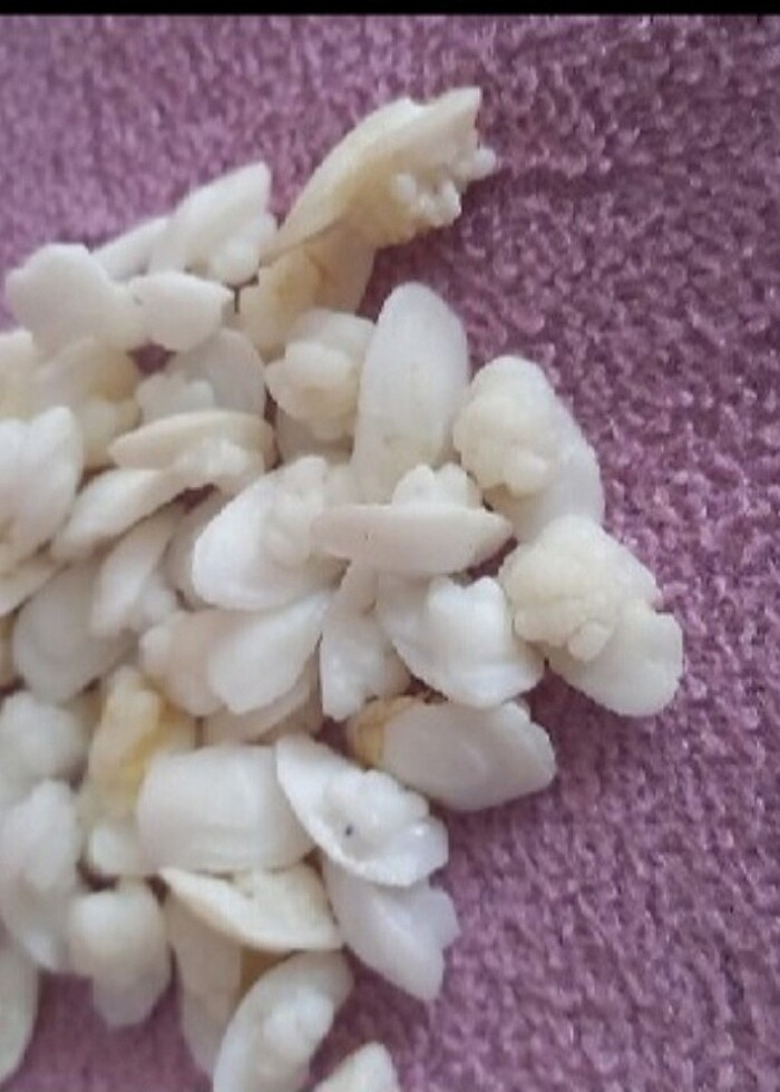 EKŞİNA TAŞI - Görsel 2