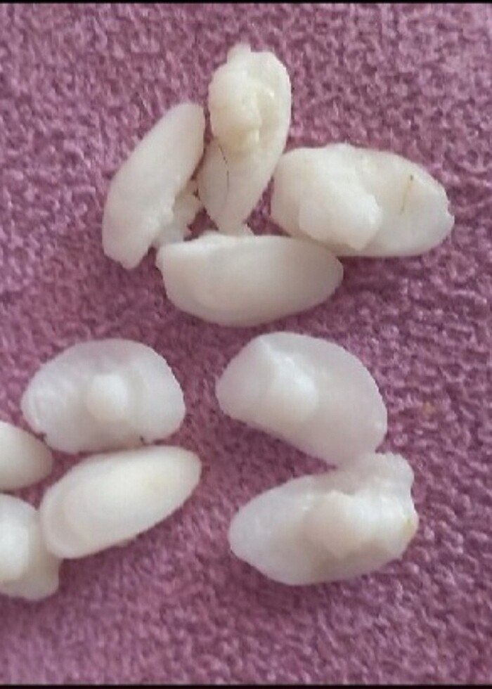 EKŞİNA TAŞI - Görsel 3