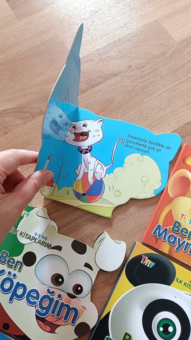 Çocuklar için Hayvanlar Serisi Kitaplar - Görsel 4