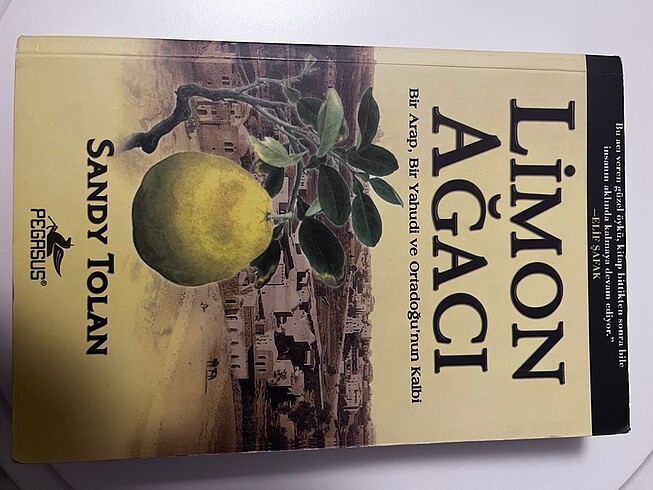 Limon Ağacı, Sandy Tolan